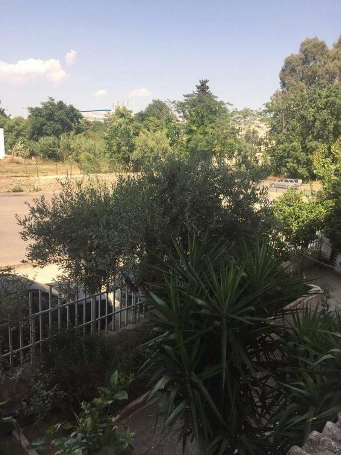 Cozy Apartment Near Metro Station Agia Marina アテネ エクステリア 写真